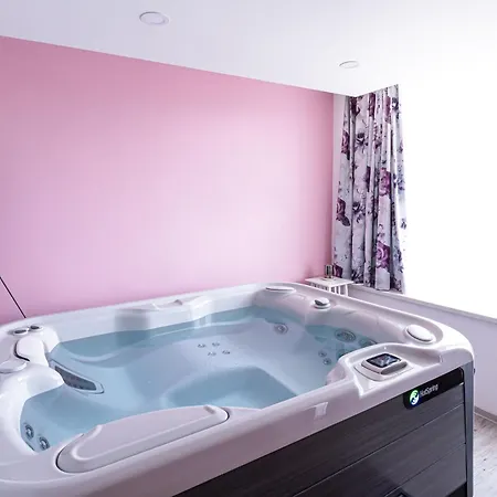 Hotel Grajski Dvor 3*