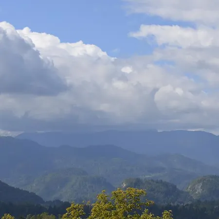 Grajski Dvor Hotel 3*