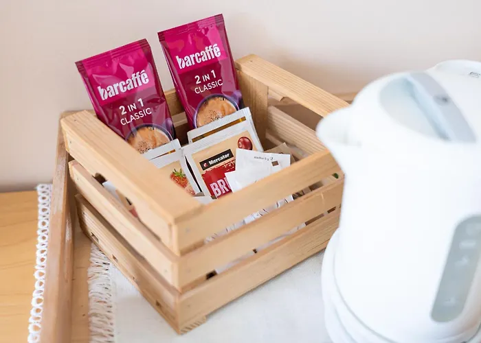 Grajski Dvor Радовлица