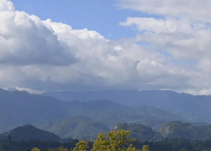 Grajski Dvor Отель 3*