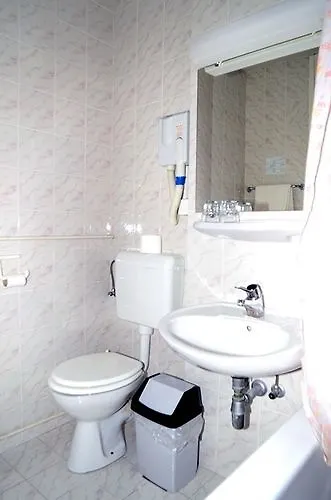 Grajski Dvor 3* Радовлица